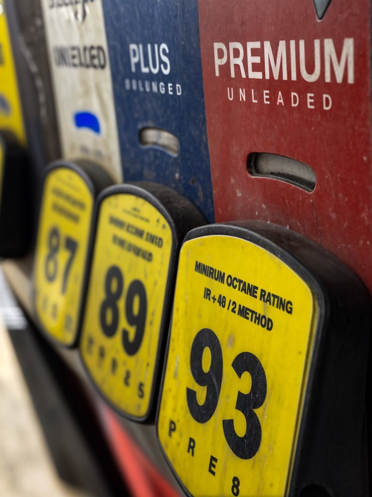 Modern fuel pump with various octane options